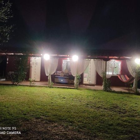 Olive Garden Guest House Kyparissia Esterno foto