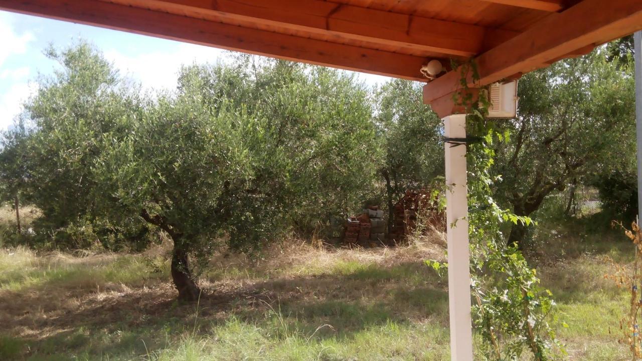 Olive Garden Guest House Kyparissia Esterno foto