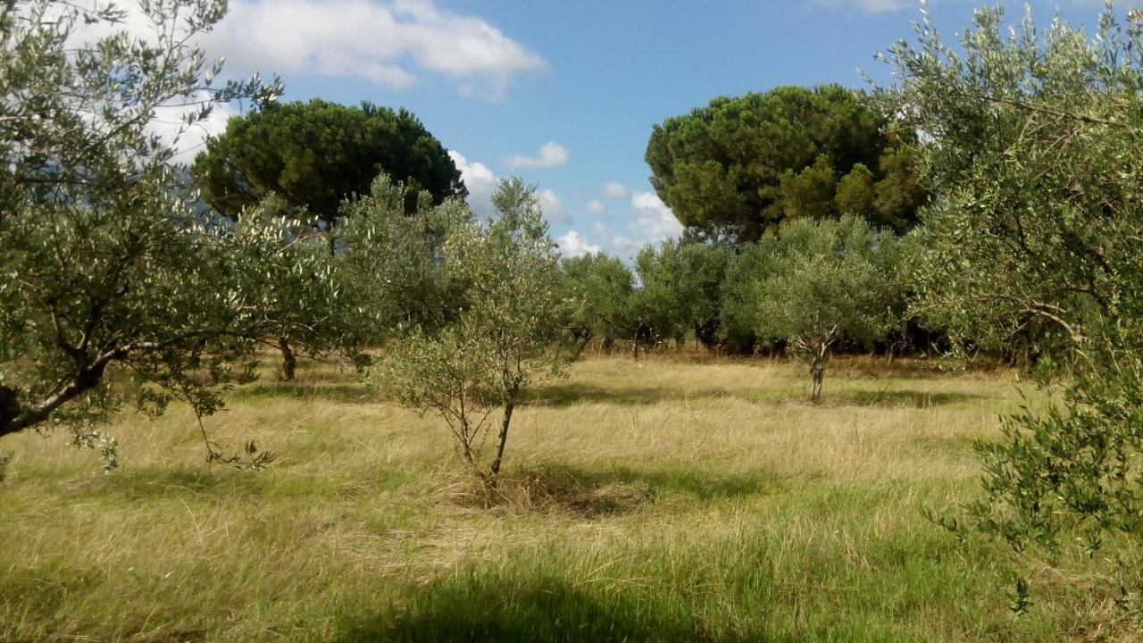 Olive Garden Guest House Kyparissia Esterno foto