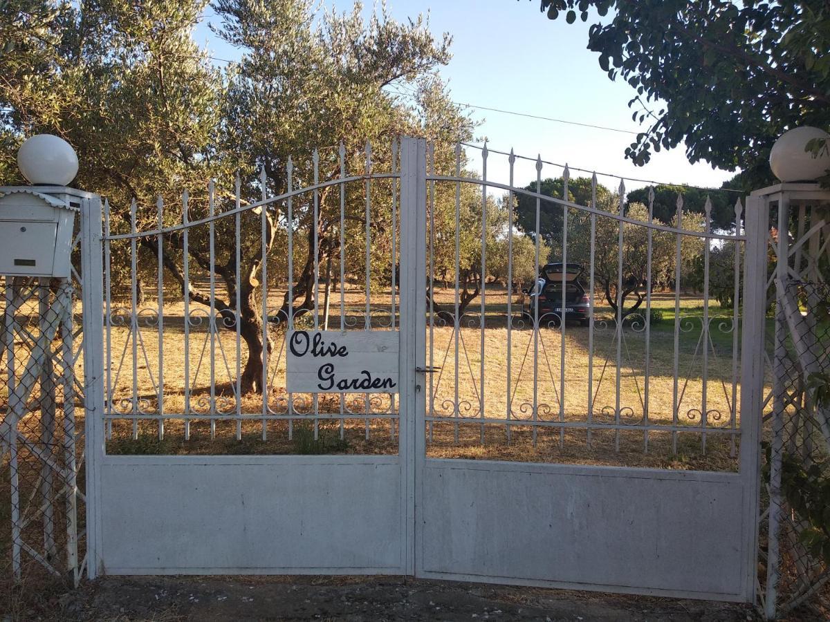 Olive Garden Guest House Kyparissia Esterno foto