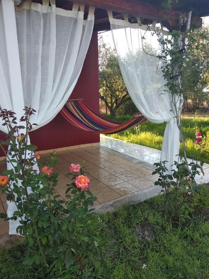 Olive Garden Guest House Kyparissia Esterno foto